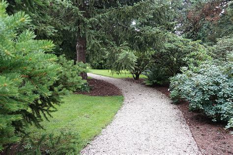 pinwyum|Pinetum .